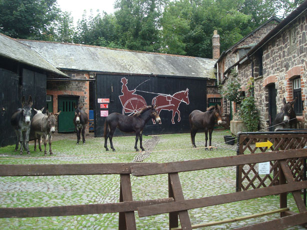 View of the whole stable yard