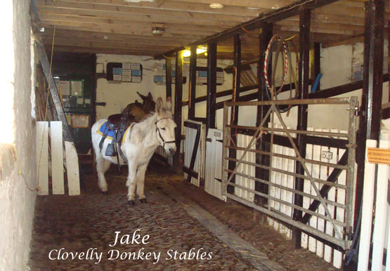 The stalls inside the main stable 